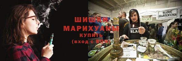 гидропоника Гусиноозёрск