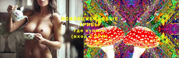гидропоника Гусиноозёрск