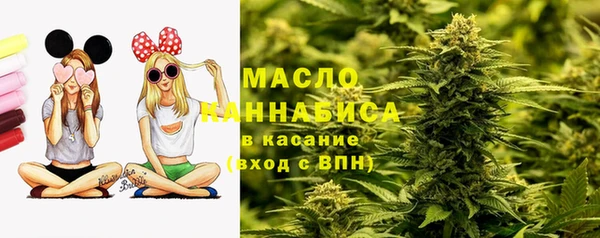 гидропоника Гусиноозёрск