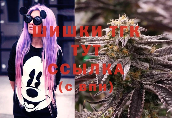 гидропоника Гусиноозёрск