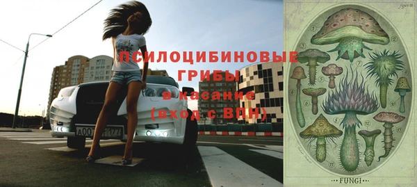 меф Горнозаводск