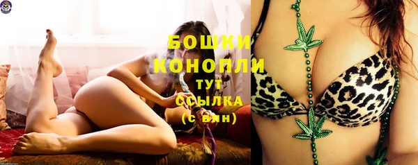 гидропоника Гусиноозёрск