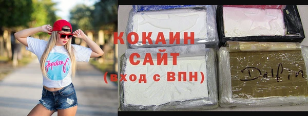 гидропоника Гусиноозёрск